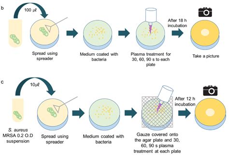 Cold Atmospheric Pressure Microplasma Pipette for Disinfection of ...
