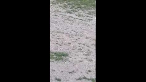 Image result for Exploding Arrow Tip YouTube