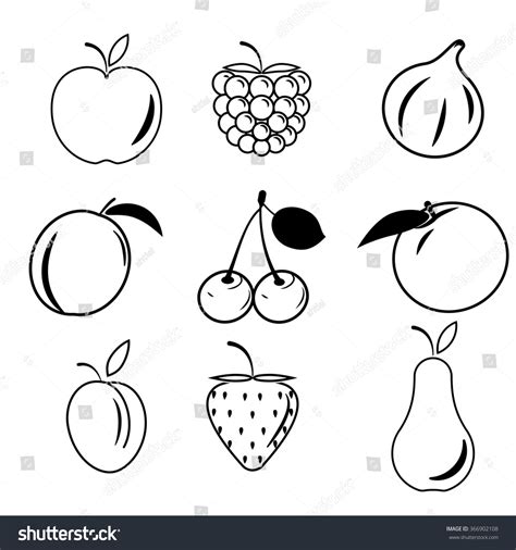 Fruits Outline Images With Names at Amy Auerbach blog