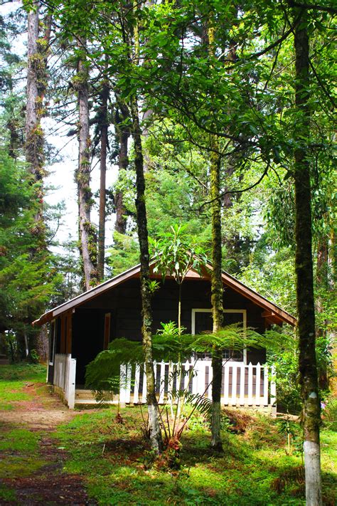 El Porvenir Campground New Mexico: Camping & RV Sites