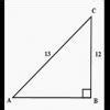 A ladder 13cm is placed on the ground in such a way that it touches the ...