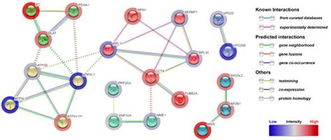 Biomolecules | July 2023 - Browse Articles