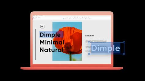 Example 的图像结果