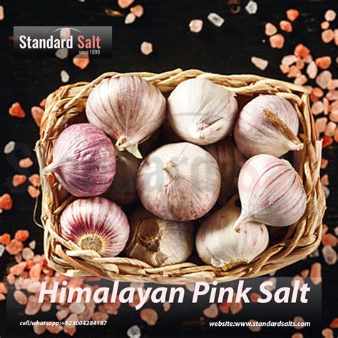 Find the Best Himalayan Salt: Your Guide to Buying Himalayan Salt ...