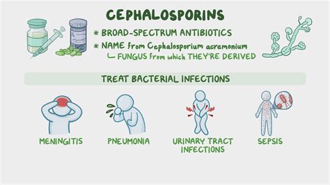 Video: Antibiotics - Cephalosporins: Nursing pharmacology | Osmosis