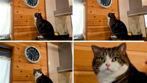 Time Meme 的图像结果