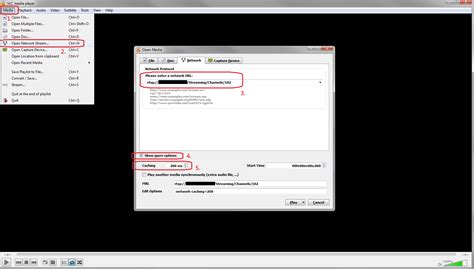 Rtsp VLC Player 的图像结果