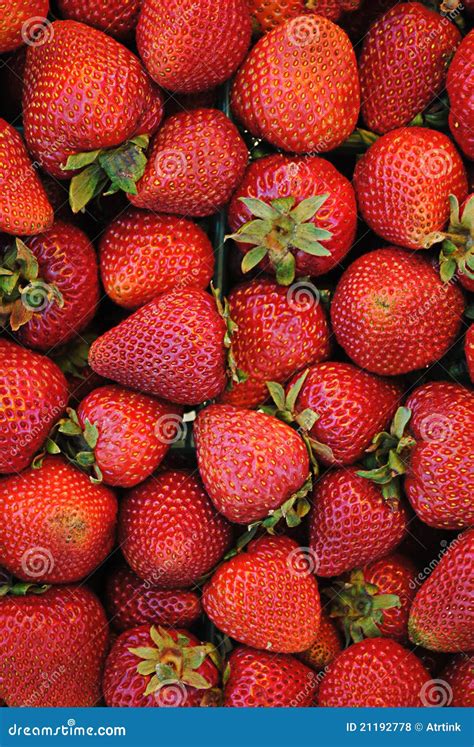 Flat of Strawberries stock photo. Image of ripe, farmers - 21192778