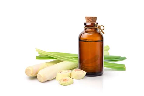 Lemongrass Oil- Its Benefits And Uses | atelier-yuwa.ciao.jp