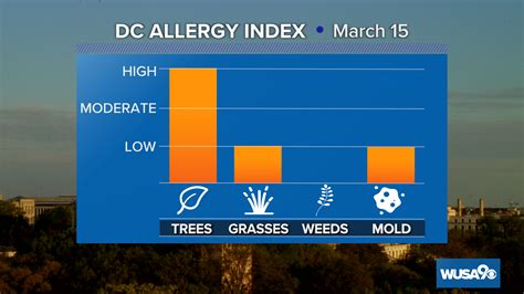 Tree pollen count is high in DC region, affecting allergies | wusa9.com