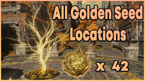 Elden Ring: All 42 Golden Seed Locations (Complete Guide to Max Flasks ...