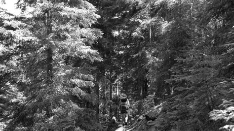 Local People of Forest and Wildlife 的图像结果