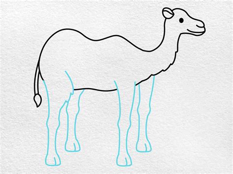 How to Draw a Camel - HelloArtsy