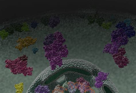 Nucleotide and Co-Factor Detection Assays