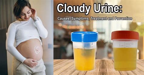 Health Life Ai on LinkedIn: Discover the causes and treatments for ...