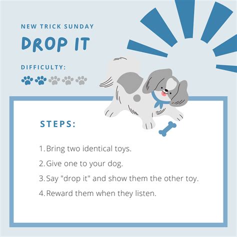 Effective puppy crate training schedule – Artofit