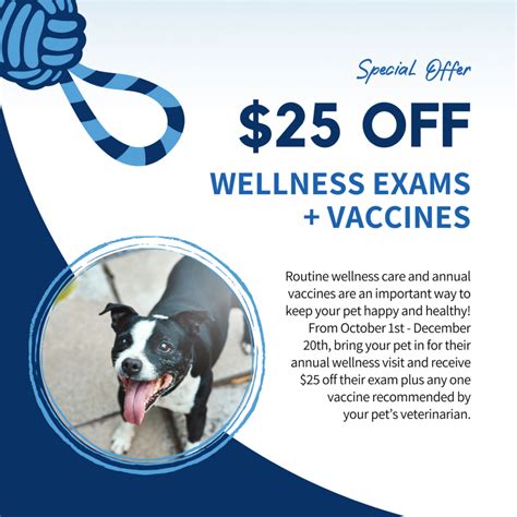 Veterinarians in Littleton, CO | Chatfield Veterinary Hospital