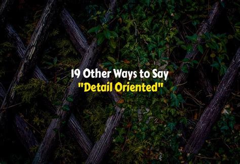 19 Other Ways to Say Detail Oriented (With Examples)