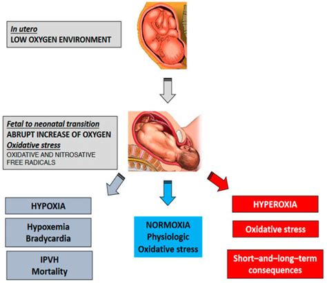 The Respiratory Management of the Extreme Preterm in the Delivery Room