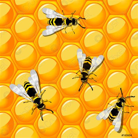 Bees and honeycomb - stock vector 163604 | Crushpixel