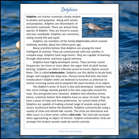 Dolphins Reading Comprehension Passage and Questions | Printable PDF ...