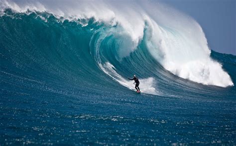Image result for Wave Button Animation. CSS