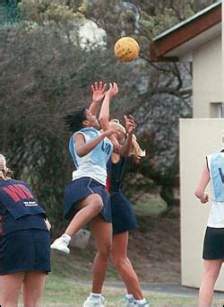 Netball Signals 的图像结果