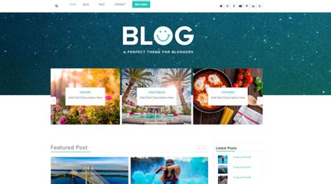 Cultural Activity WordPress Themes Create Art And Cultural Website