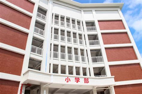 16所新校新增学位16605个，鼎湖教育逐年走向高质量发展！_肇庆