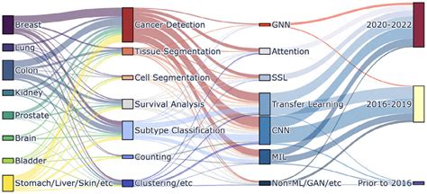 Computer Vision for Tumour 的图像结果