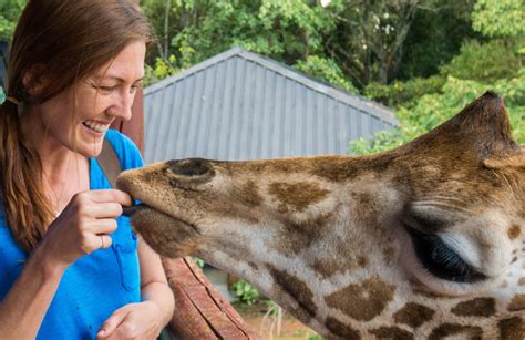 Beijing City 的图像结果