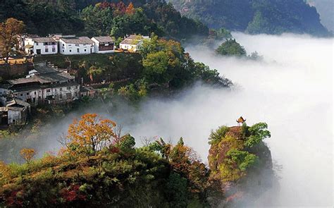 黄山休宁齐云山自由家树屋世界，每一栋主题树屋都置身于山林当中