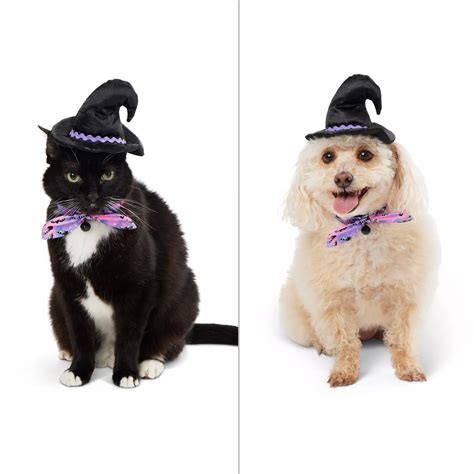 Top 20 Pet Halloween Costumes from PetSmart