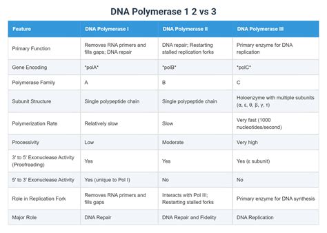 DNA Polymerase 1 2 vs 3