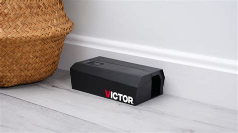 Image result for Exploding Mouse Trap