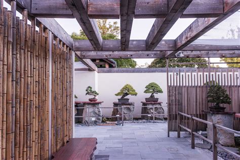 National Bonsai Foundation - Bonsai Museum Washington DC