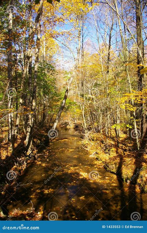 Autumn stream stock image. Image of headwaters, paddle - 1433553
