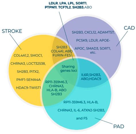 Personalized Cell Therapy for Patients with Peripheral Arterial ...