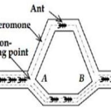 Image result for Ant colony optimization algorithms Applications