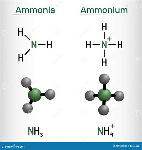 Ammonium Cation, NH4 and Ammonia, NH3 Molecule. Structural Chemical ...