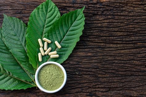 Kratom High: Dangers & Side-Effects