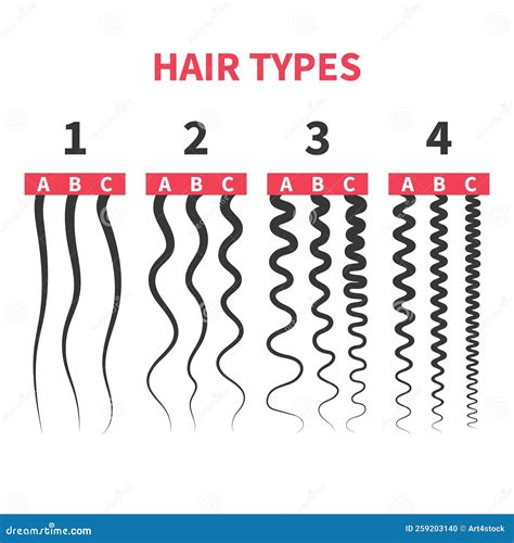 Detailed Hair Types Chart Set of Strands Growth Patterns Stock Vector ...