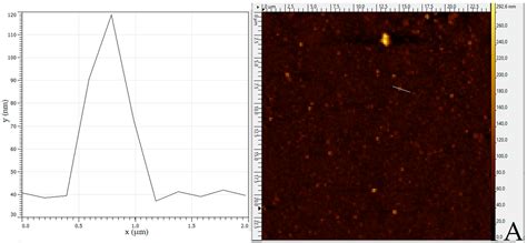 Continuous Nanoprecipitation of Polycaprolactone in Additively ...