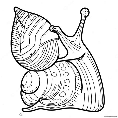 Snail Coloring Page (8510-6766)