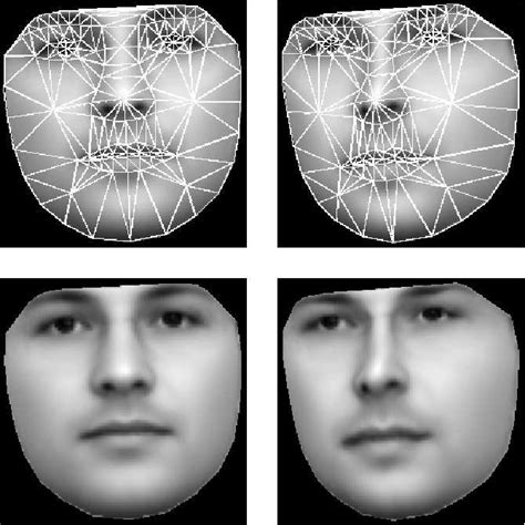 Image result for Warping Face Python