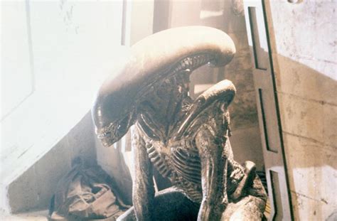Image result for Alien Fgtv