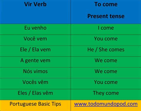 Ver Present Tense