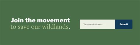 Blog Post Layout Examples 的图像结果