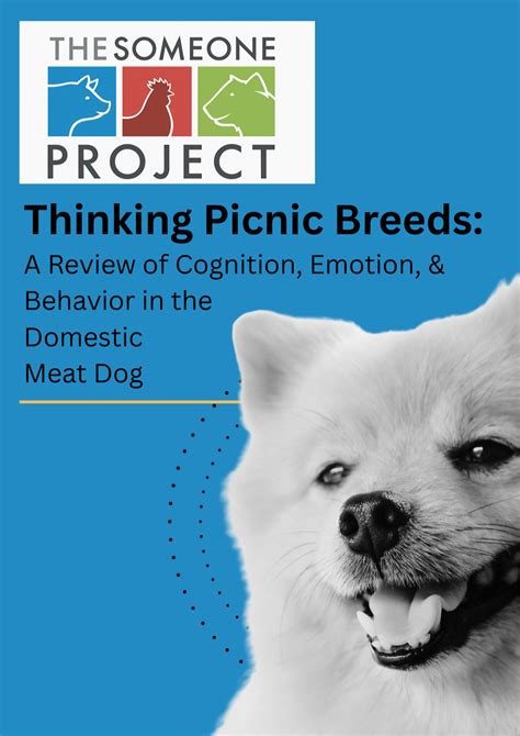 Farm fact: Dogs do not have feelings