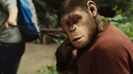 [电影]《猩球崛起3：终极之战》1080p|4k高清-迅雷下载-59资讯网